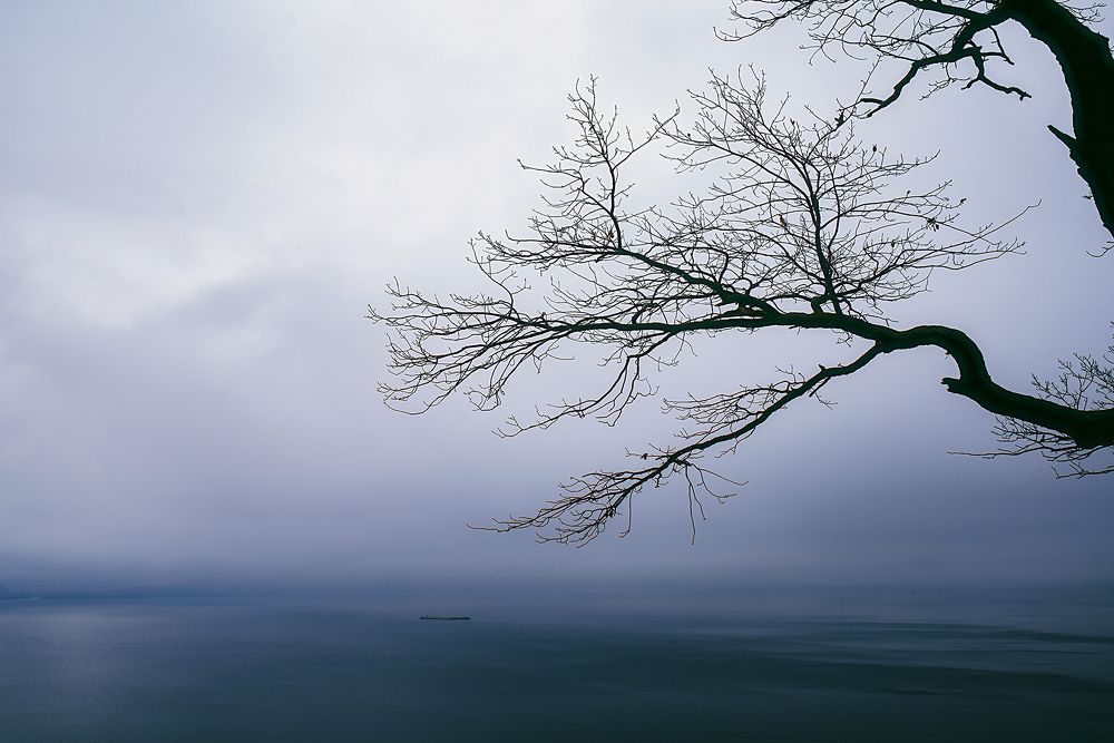 Photograph by Дзюба Нелли