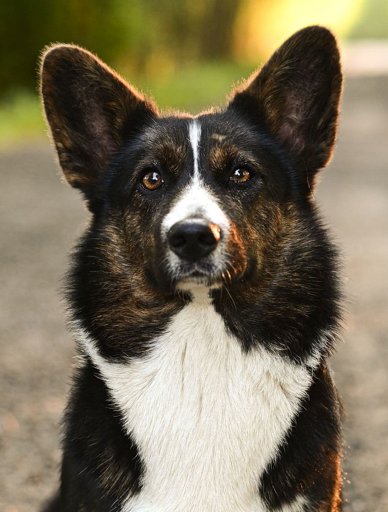 Фотография автора Людмила Капустина