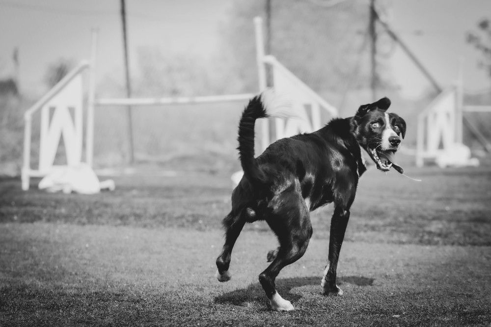 Photograph by Olga Degtjareva