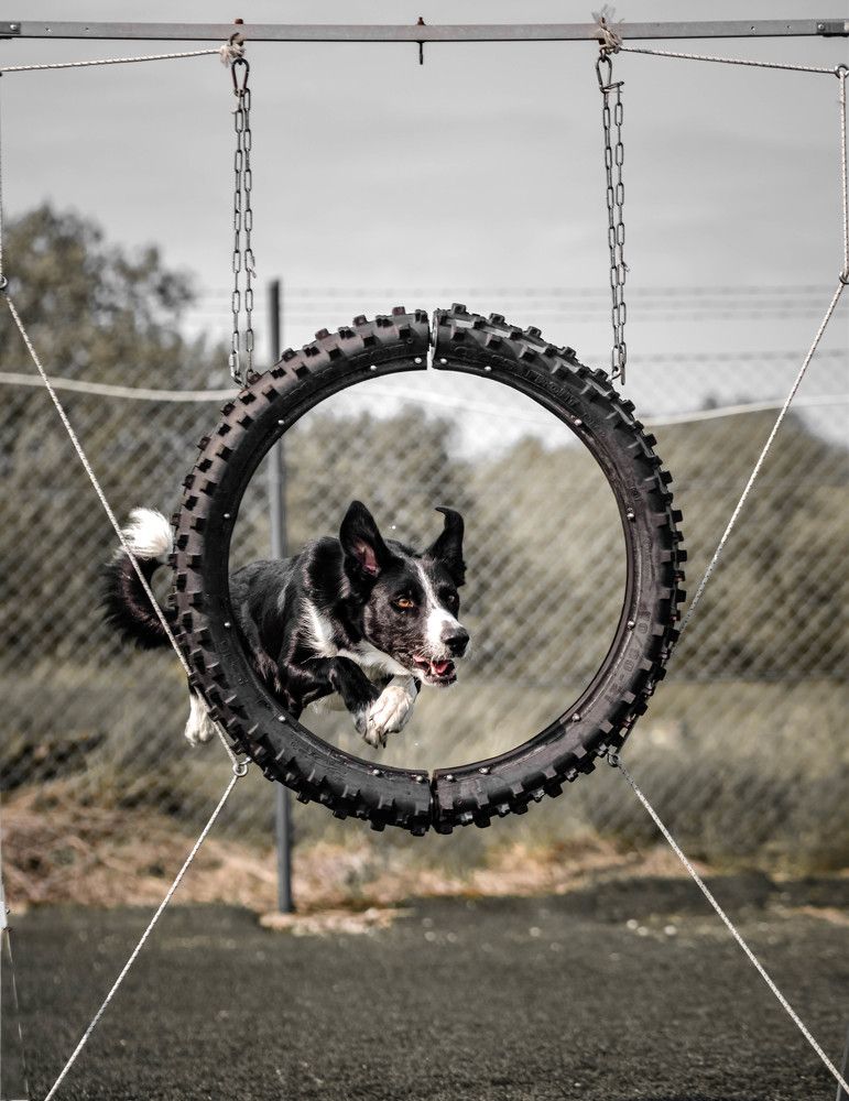 Photograph by Olga Degtjareva