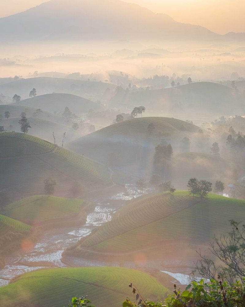 Photograph by Duc Nguyen