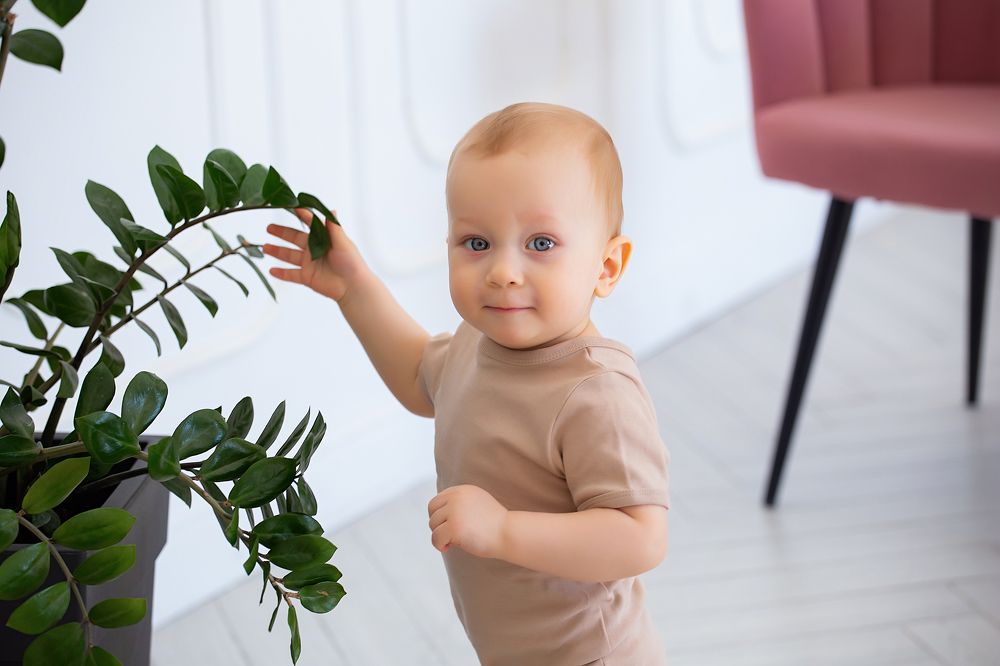 Photograph by Маруся Тумова