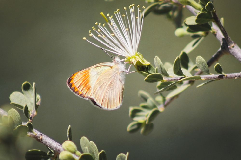 Photograph by Waleed Yousuf Alwahaibi