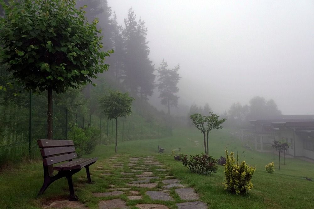 Photograph by Arkady Sandler