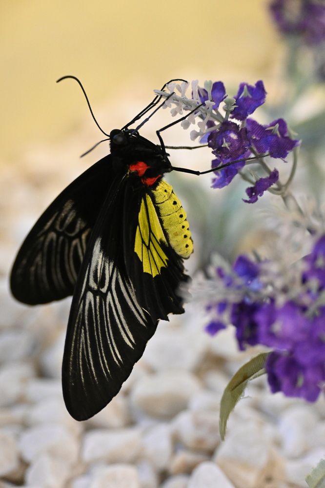 Фотография автора Александр Жданов