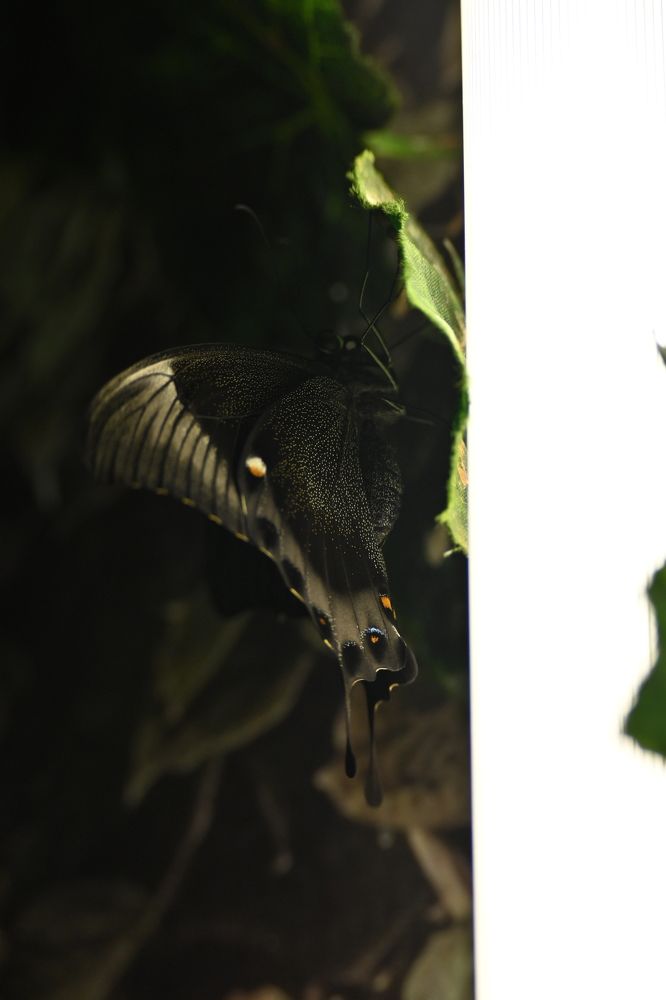 Фотография автора Александр Жданов