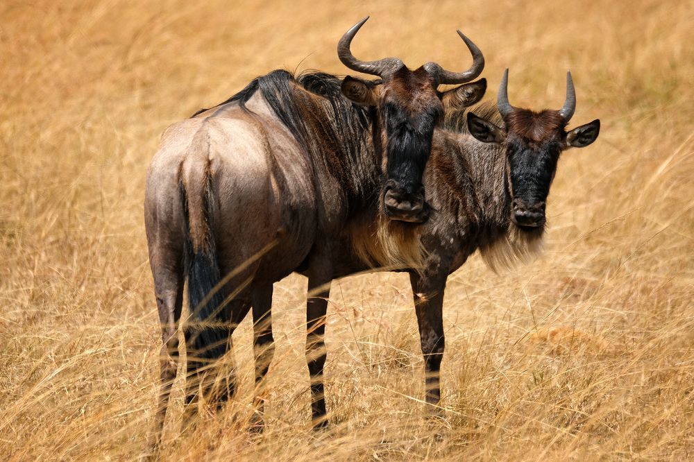 Photograph by Ирина Худзинская