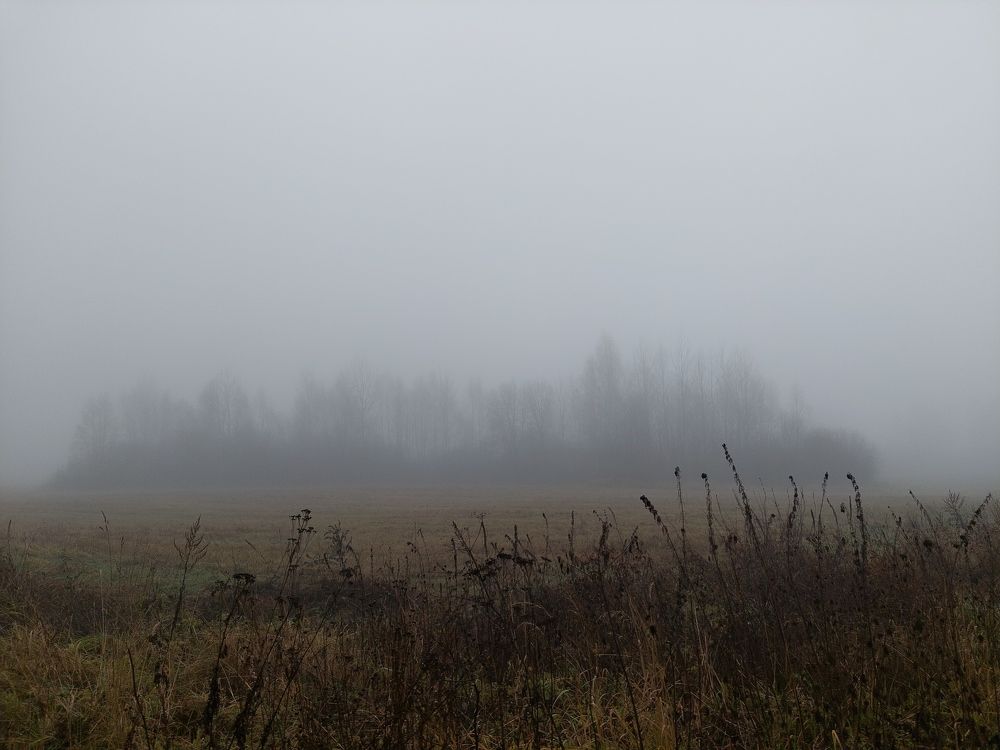 Photograph by Елена Тимченко