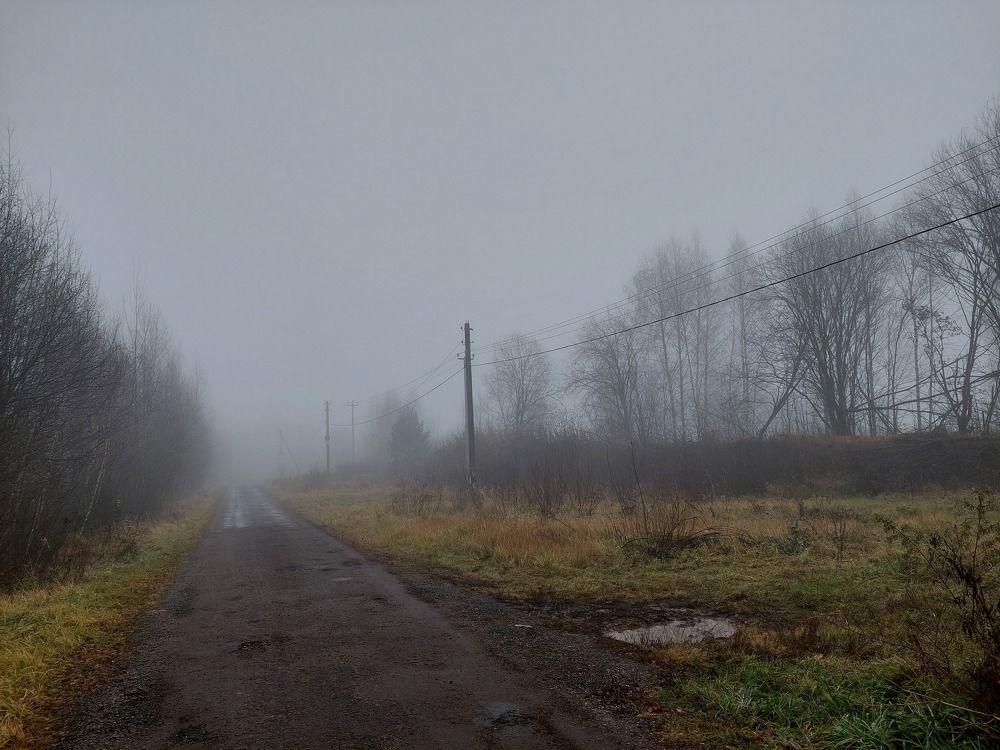 Photograph by Елена Тимченко