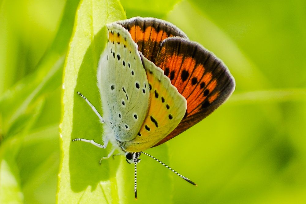 Photograph by Михаил Измайлов