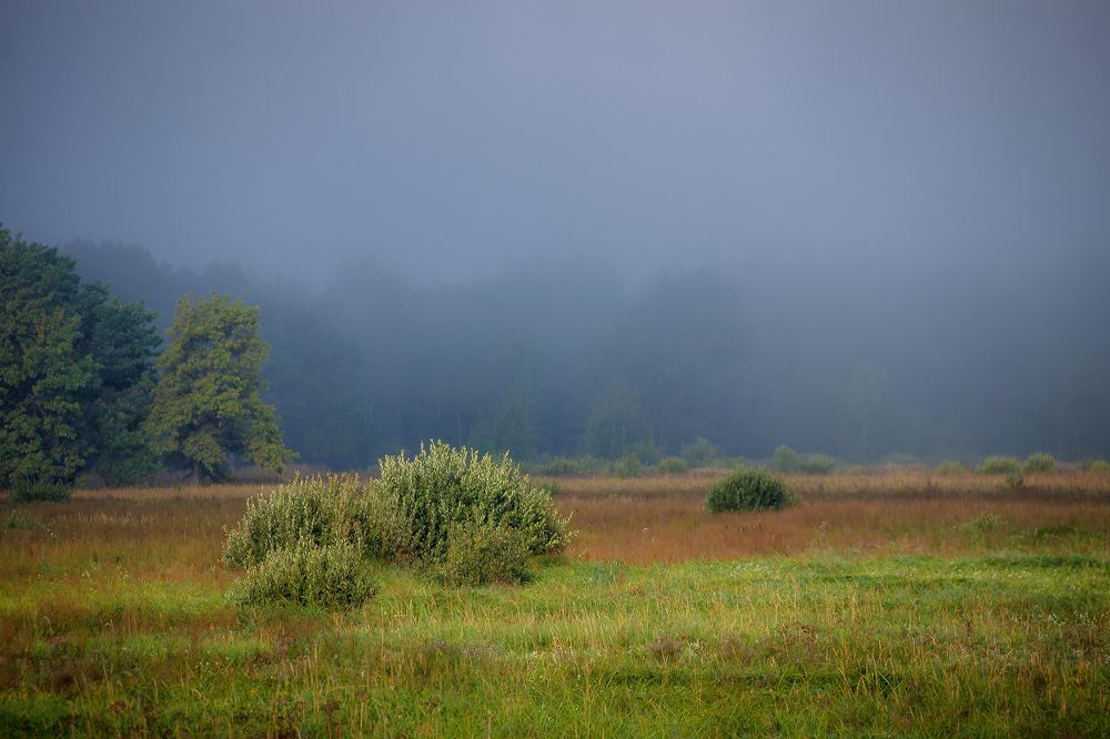 Photograph by Алексей Трифонов