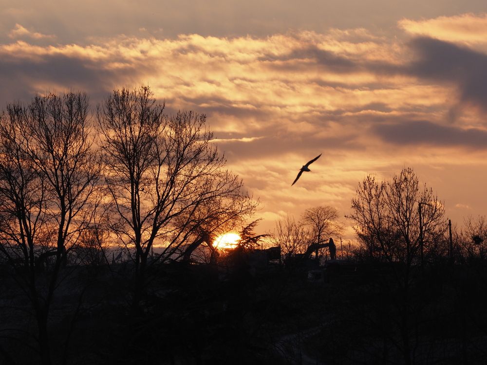 Photograph by Сергей Борисов