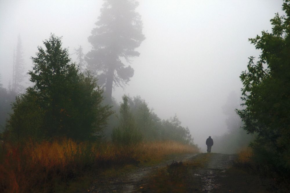 Туманное утро