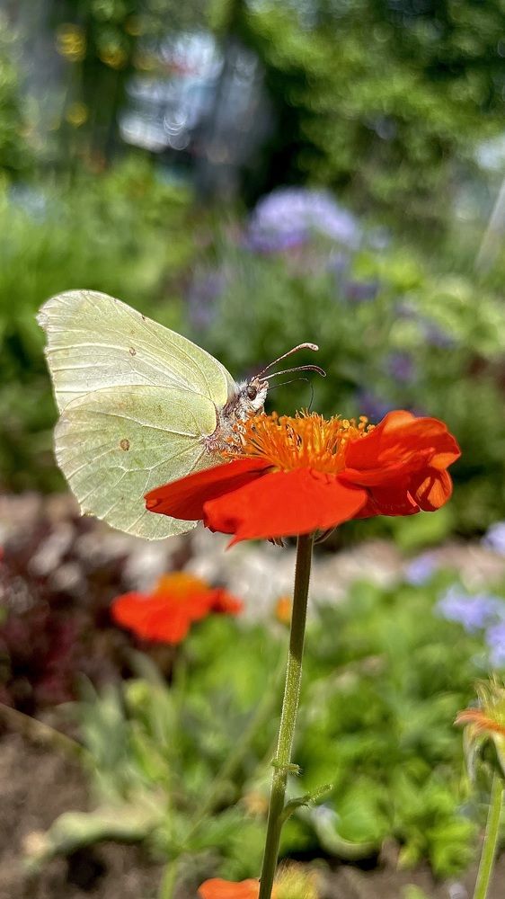 Photograph by Елизавета Большакова