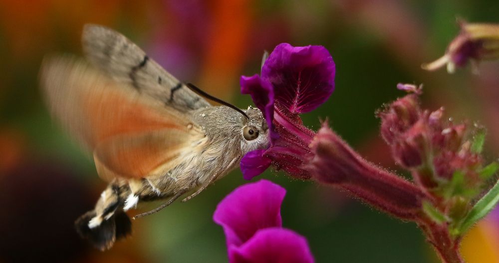 Photograph by Александр Шаварёв