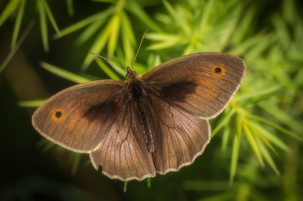 Photograph by Черкасов Сергей