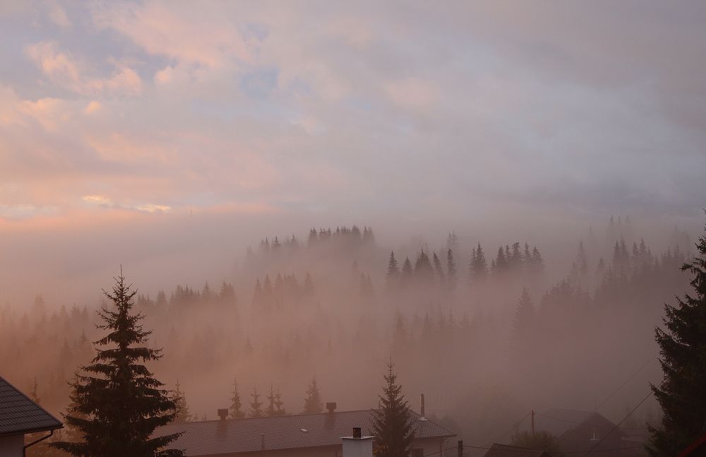 Photograph by Евгения Голубова