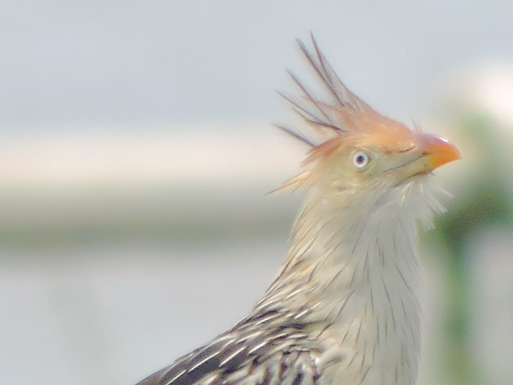 Photograph by Rodrigues Helena