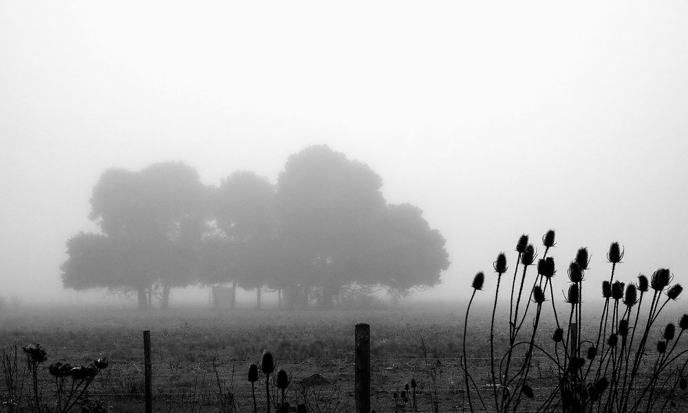 Photograph by Viviana García