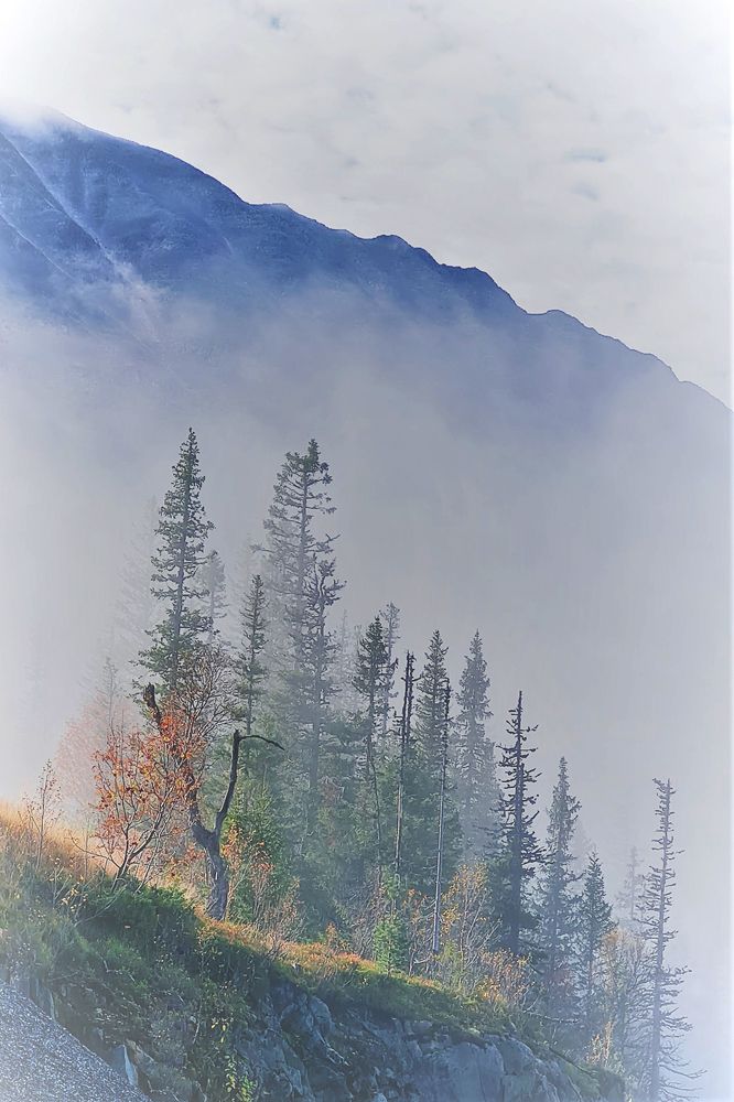 Photograph by Geir Kjaerstad