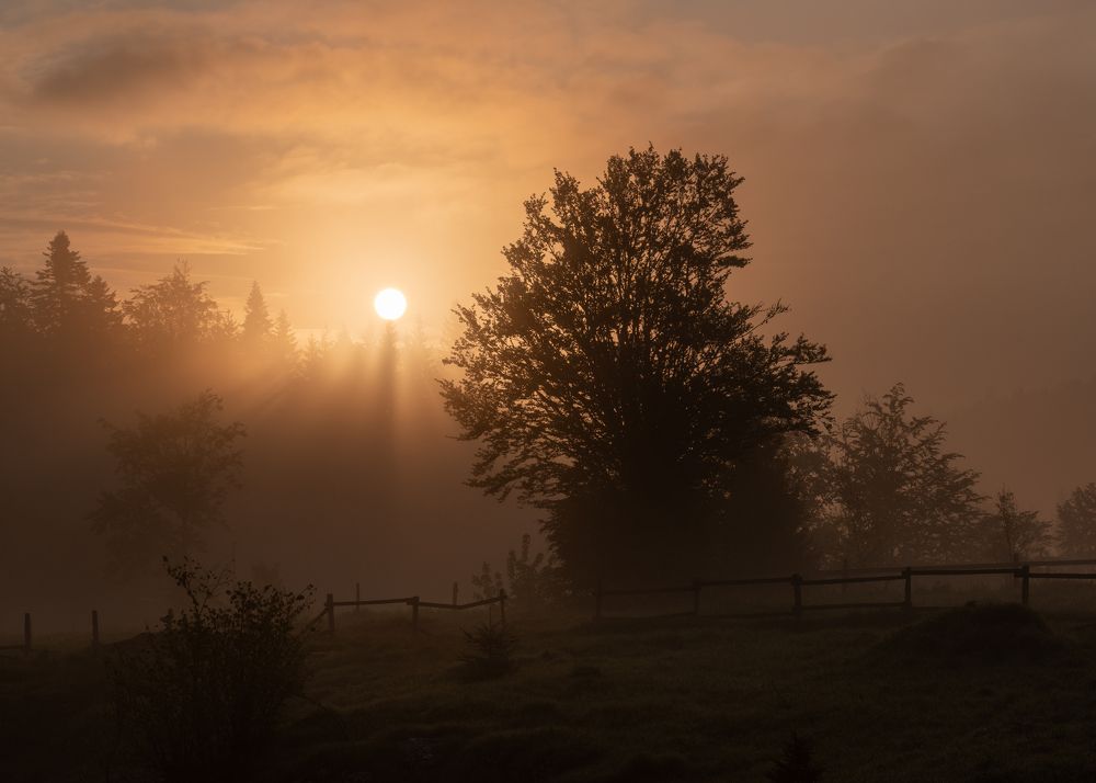 Photograph by Dejan Zakic