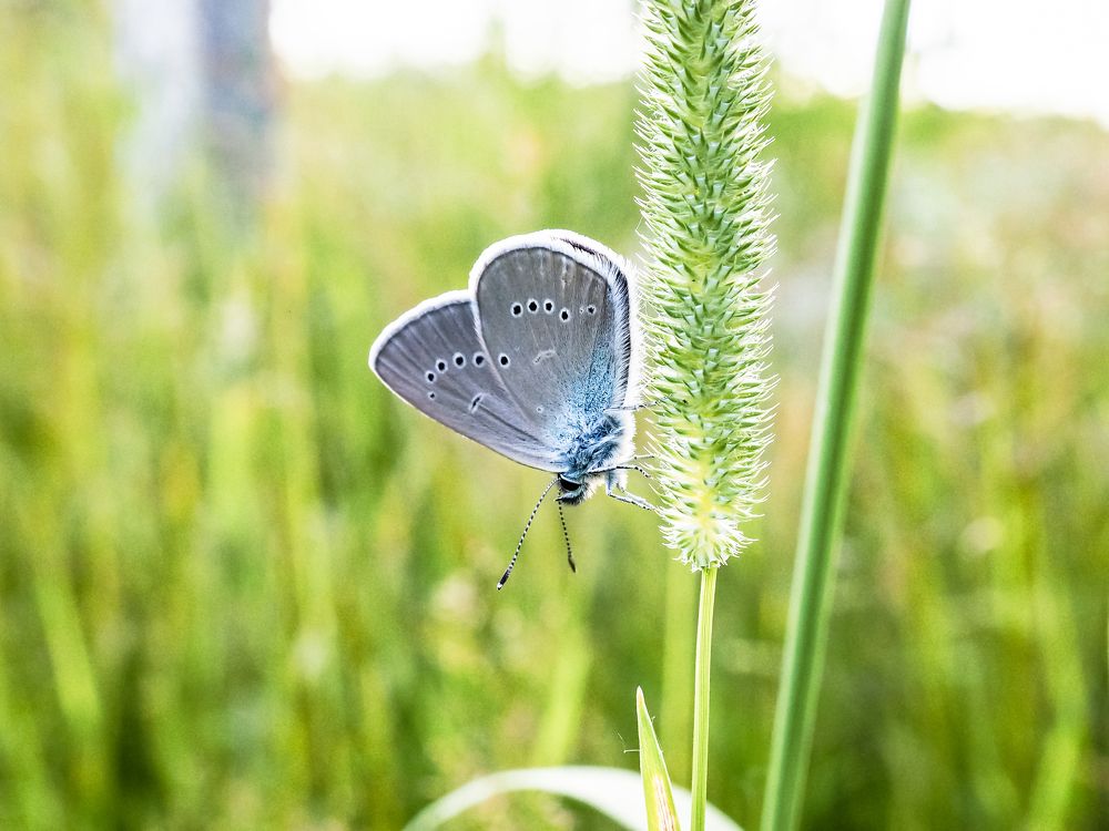 Photograph by Рязанов Юрий