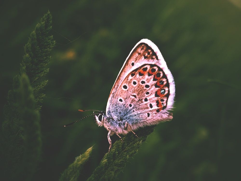 Photograph by Александра Королёва