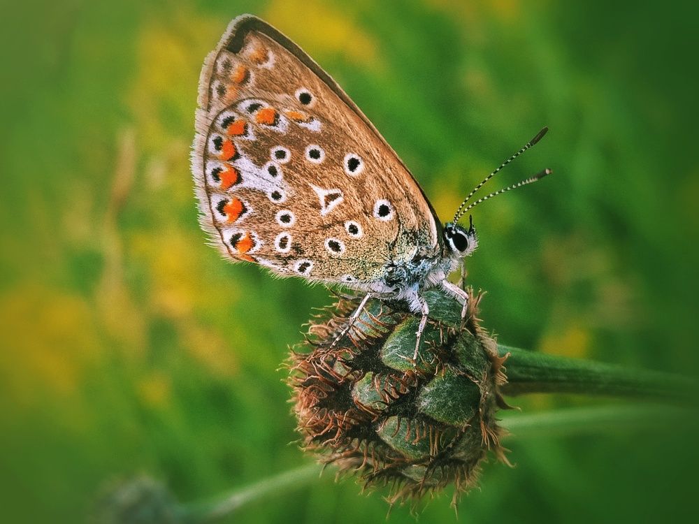 Photograph by Александра Королёва