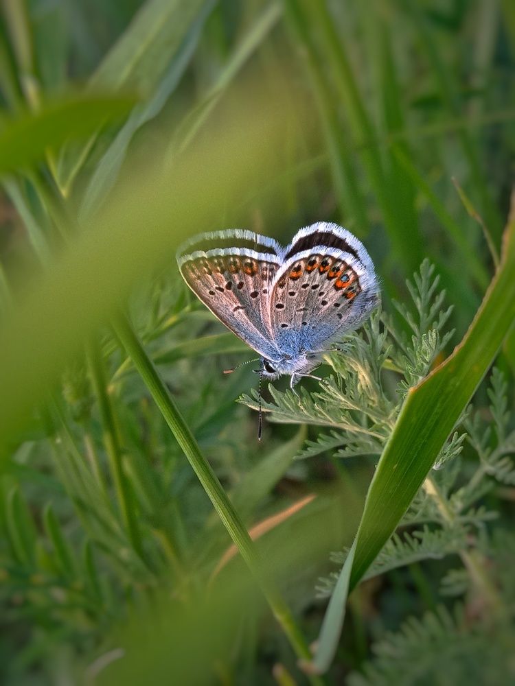 Photograph by Александра Королёва
