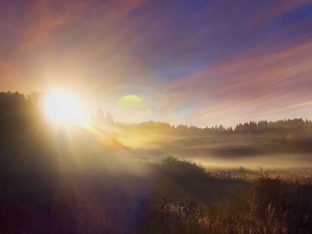 Фотография автора Elena Istomina