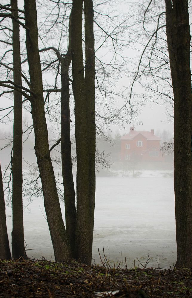 Фотография автора Ирина Гриценко