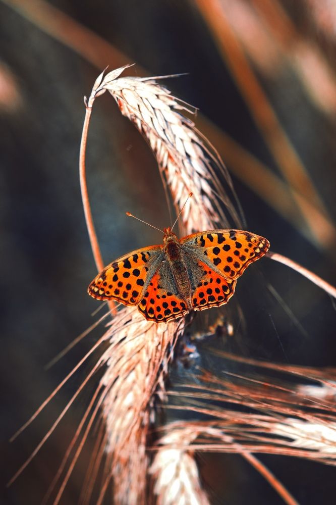 Photograph by Александр Молотков