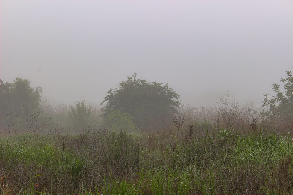 Photograph by Ирина Дмитриенко