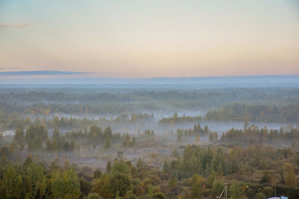 Туманный вечер.