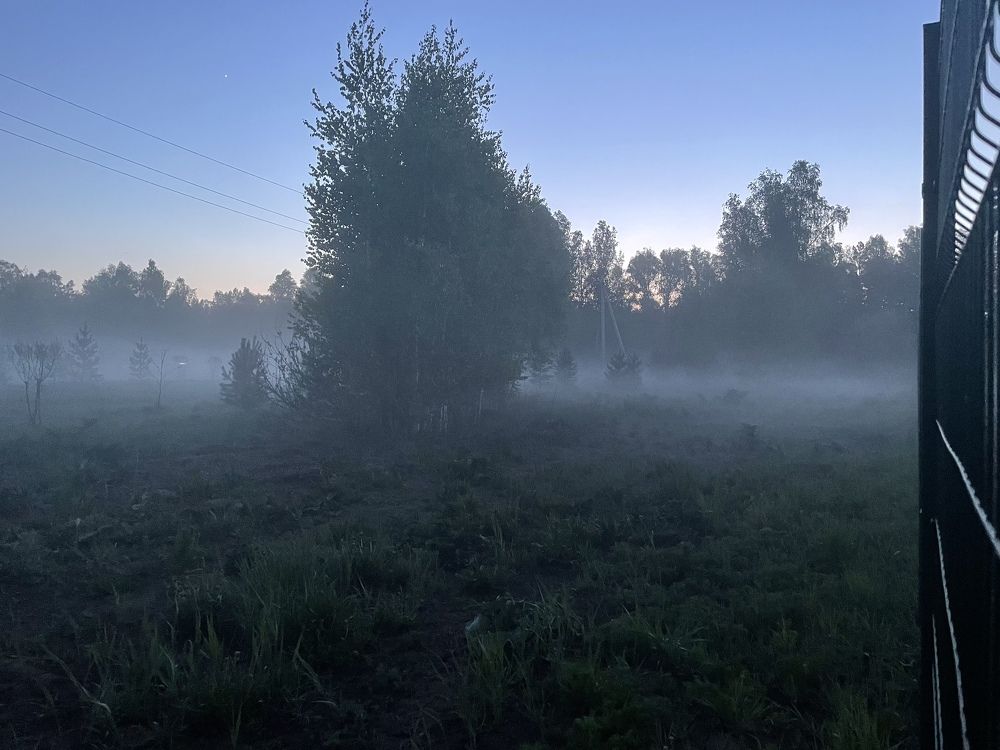 Photograph by Ольга Беспалько