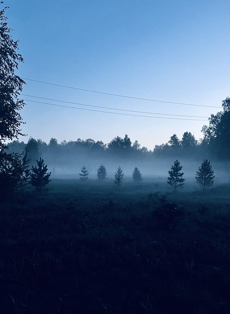 Photograph by Ольга Беспалько