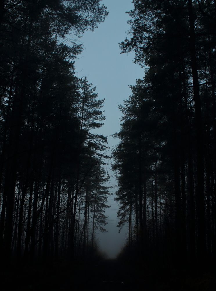 Фотография автора Михаил Кротков