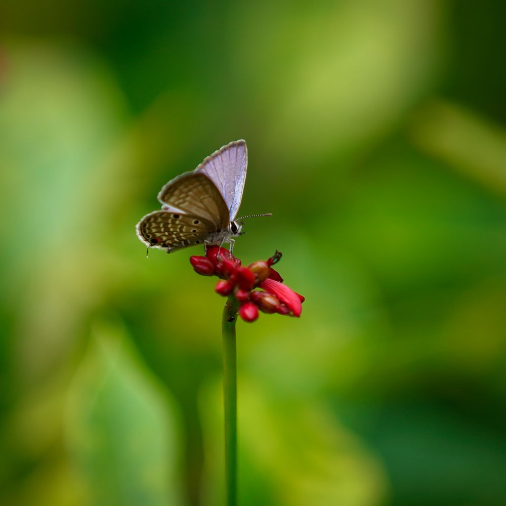 Photograph by HARSHIT MISHRA