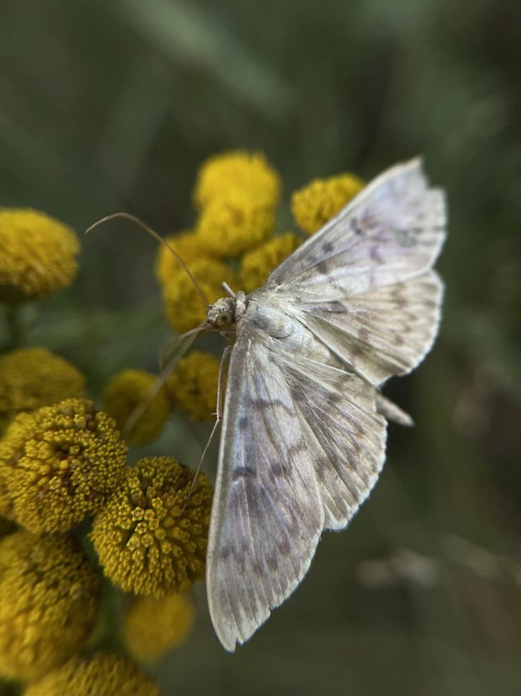 Фотография автора Ирина Мосько