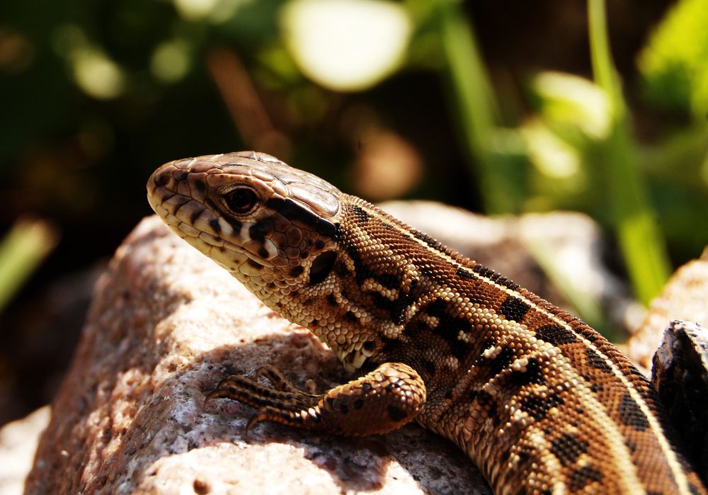 Photograph by Майя Синичкина