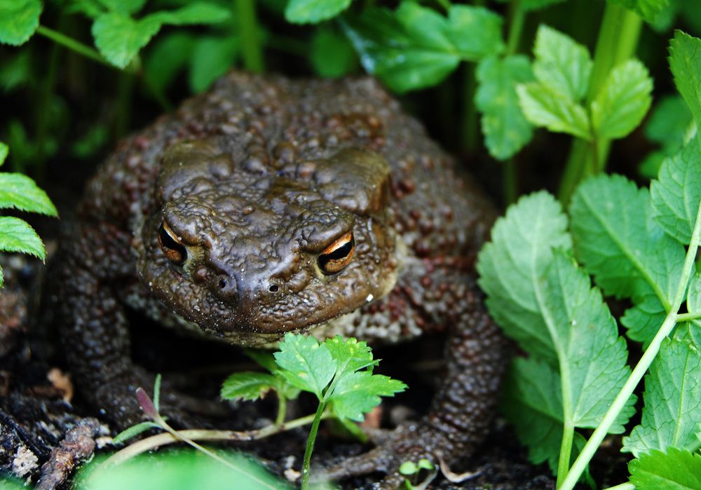 Photograph by Майя Синичкина