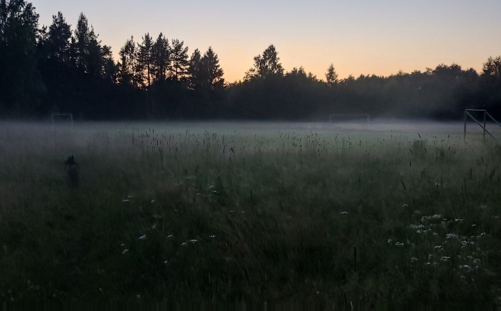 Photograph by Ирина Кузьмина