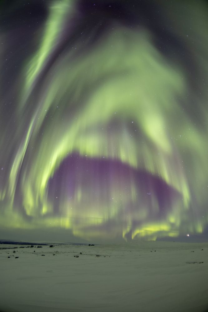 Photograph by Галина Горшенина