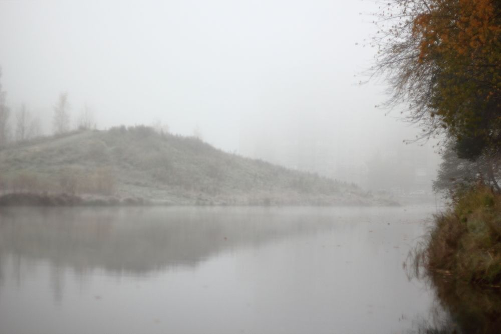 Photograph by Михаил Кротков