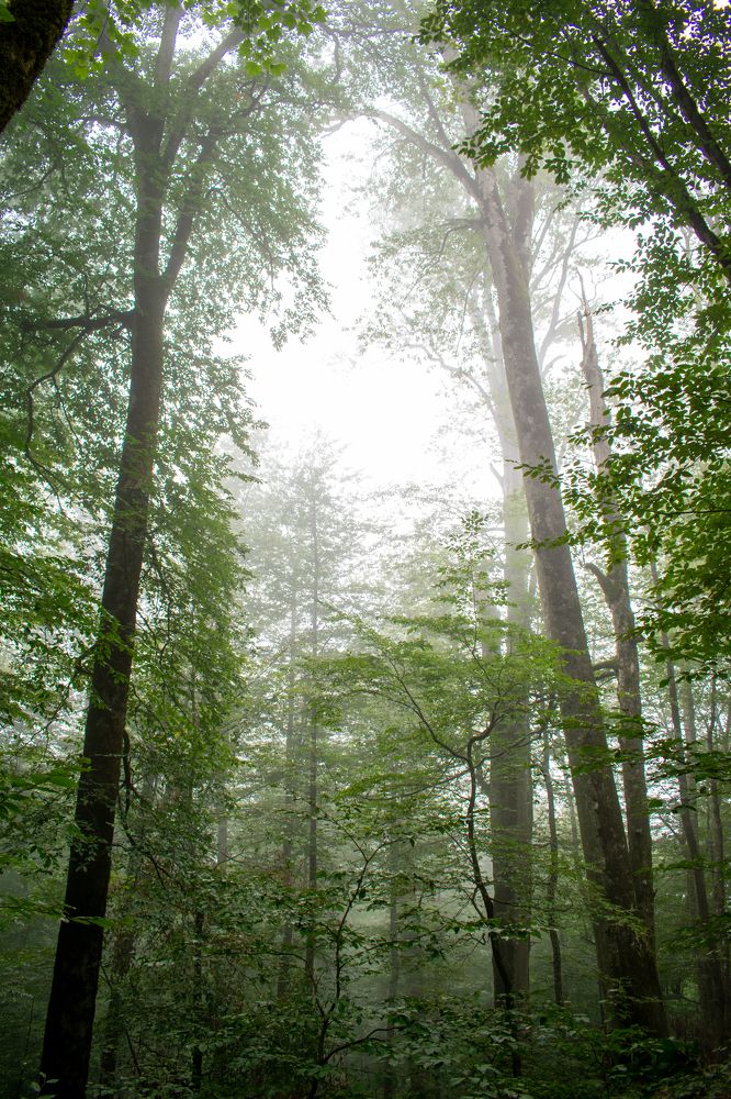 Photograph by Mina Mamdouhi