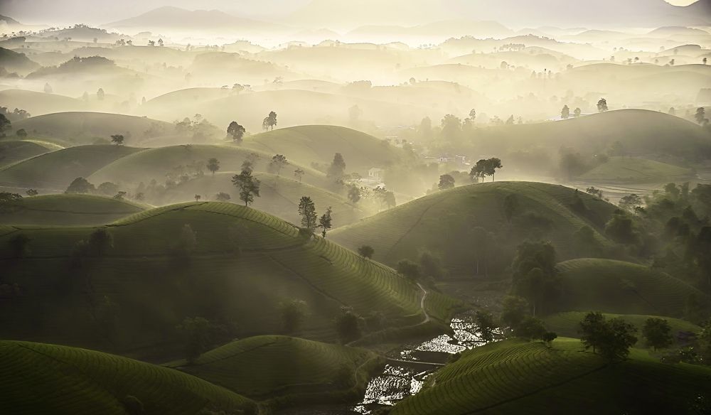 Photograph by Kevin Nguyen