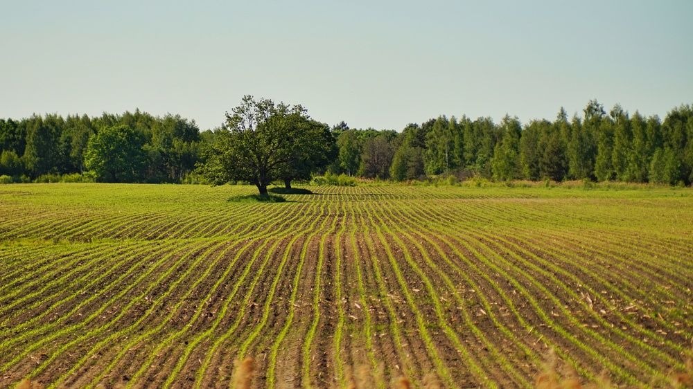 Photograph by Andreas Koff