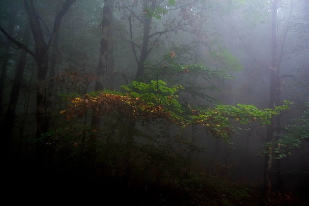 Photograph by Mina Mamdouhi