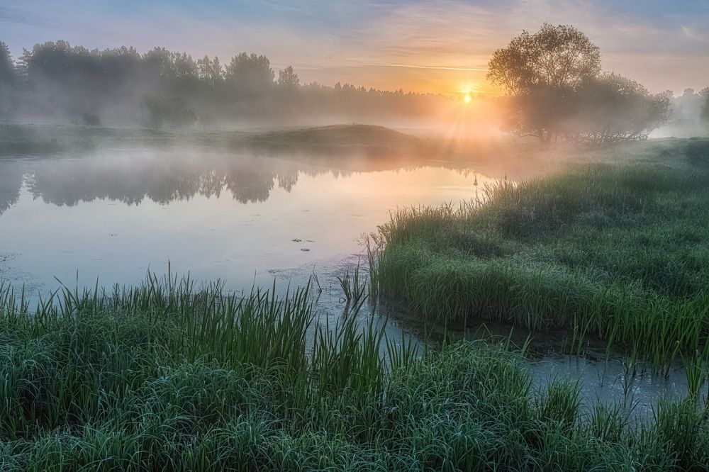 Photograph by Евгений Ерохин