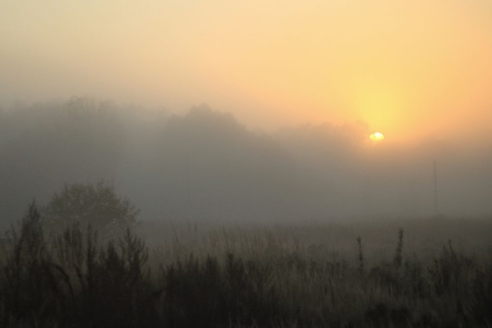 Photograph by Инна Карасева